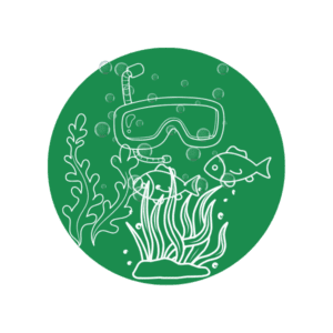 itinerarios submarinos con snokel