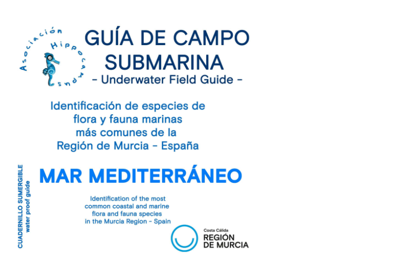 guia submarina del mediterraneo